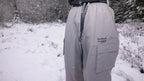 plenum 3L pants V2